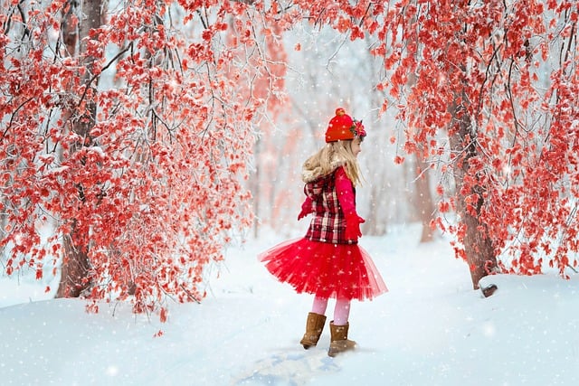 Free download winter child snow snowy free picture to be edited with GIMP free online image editor