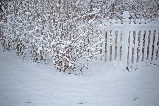 Free download winter fence white picket trees free picture to be edited with GIMP free online image editor