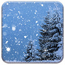 Winter Fir Tree  screen for extension Chrome web store in OffiDocs Chromium