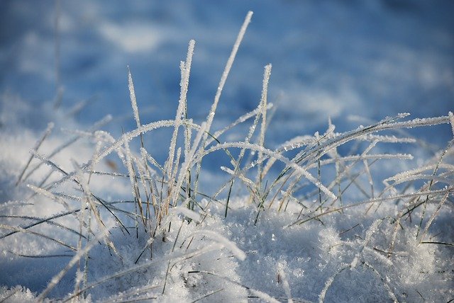 Muat turun percuma Winter Frost - foto atau gambar percuma untuk diedit dengan editor imej dalam talian GIMP