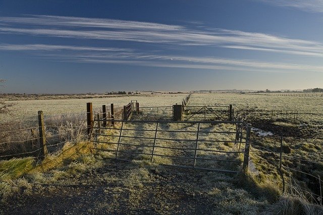 Free download Winter Frost Field -  free photo or picture to be edited with GIMP online image editor