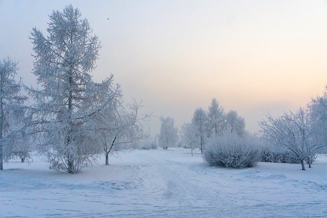 Free download winter frost snow landscape free picture to be edited with GIMP free online image editor