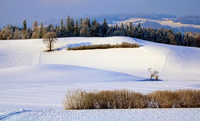 Free download winter landscape snow field free picture to be edited with GIMP free online image editor