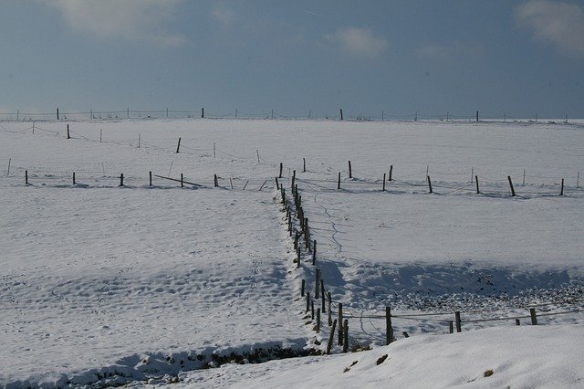 Free download Winter Meadow Snow -  free photo or picture to be edited with GIMP online image editor