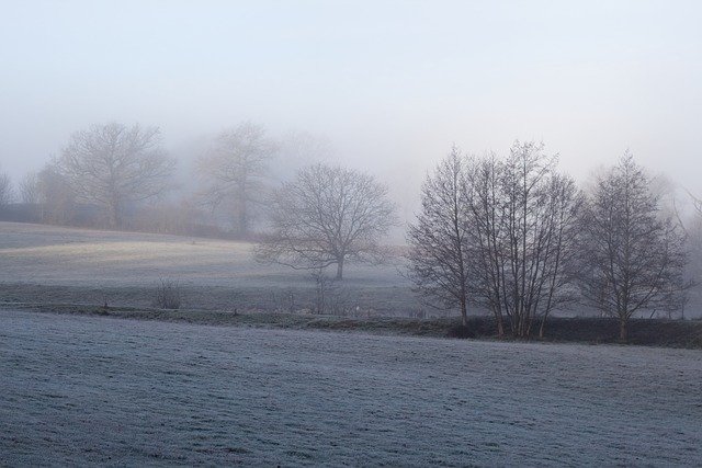 Free download Winter Mist Fog -  free photo or picture to be edited with GIMP online image editor