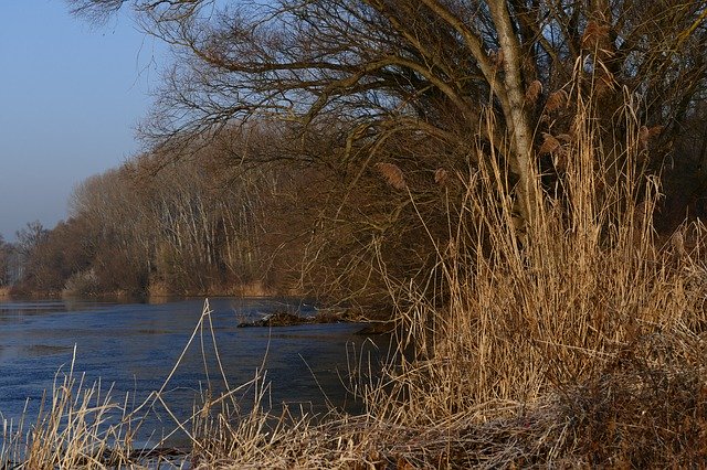 Free download Winter Nature Shore The Danube -  free photo or picture to be edited with GIMP online image editor