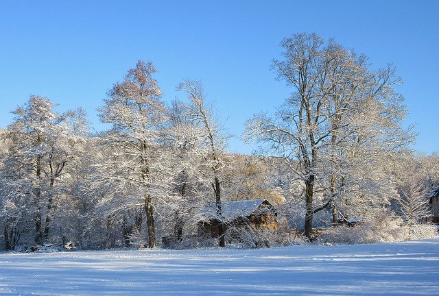 Free download Winter Parklandschaft Snow -  free photo or picture to be edited with GIMP online image editor