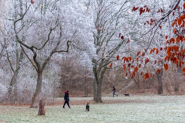 Free download winter park trees people field free picture to be edited with GIMP free online image editor