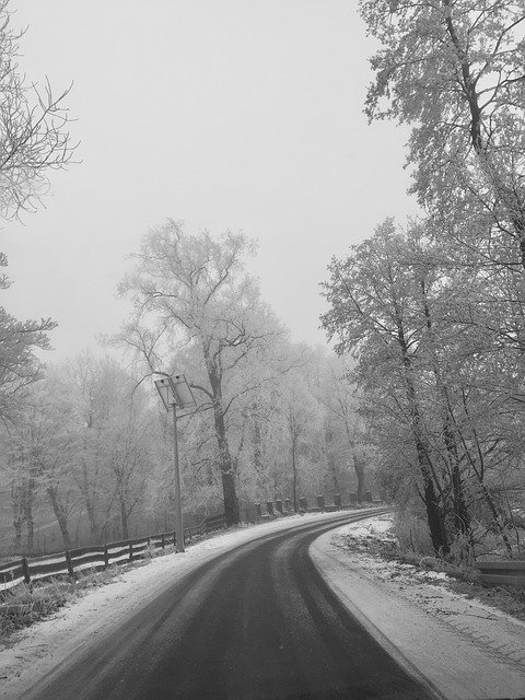 Descărcare gratuită Winter Road Forest - fotografie sau imagine gratuită pentru a fi editată cu editorul de imagini online GIMP