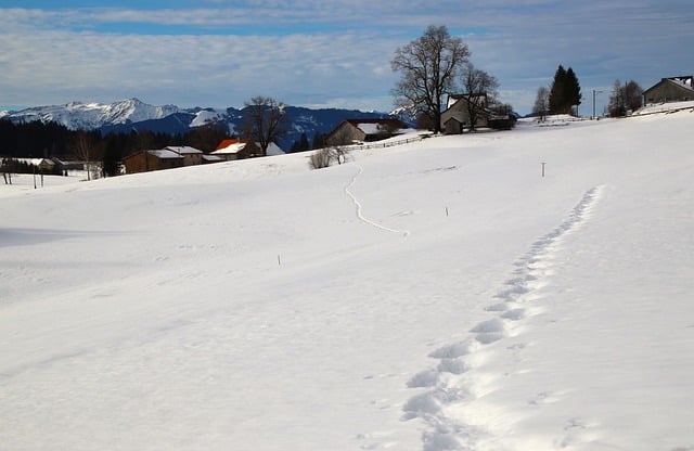 Free download winter snow alpine landscape free picture to be edited with GIMP free online image editor