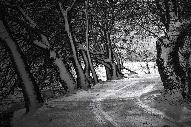 Free download Winter Snow Black White -  free free photo or picture to be edited with GIMP online image editor