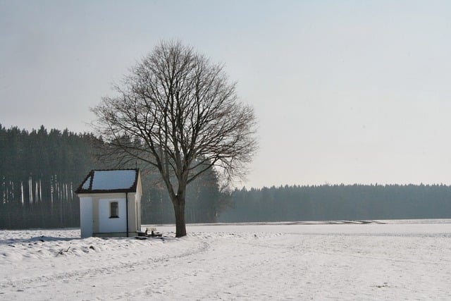 Free download winter snow chapel field trees free picture to be edited with GIMP free online image editor