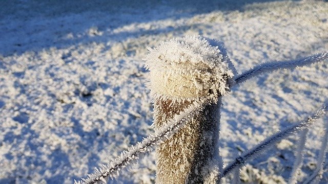 Free download Winter Snow Eiskristalle Pasture -  free photo or picture to be edited with GIMP online image editor