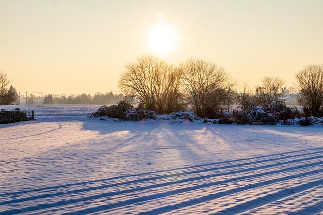 Free download winter snow landscape sun tree free picture to be edited with GIMP free online image editor