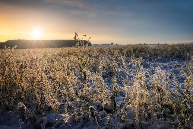 Free download winter sunrise field landscape free picture to be edited with GIMP free online image editor