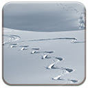 Winter Tracks  screen for extension Chrome web store in OffiDocs Chromium