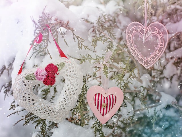 Free download winter valentine s day free picture to be edited with GIMP free online image editor