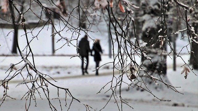 Free download winter walk couple in the morning free picture to be edited with GIMP free online image editor