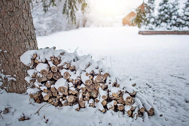 Free download winter wood pile logs snow snowy free picture to be edited with GIMP free online image editor