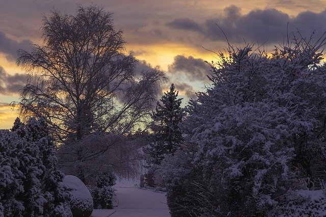 Free download Wintry Grenchen Snow -  free photo or picture to be edited with GIMP online image editor