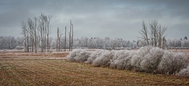 Free download Wintry Spring Lake Bad Buchau -  free photo or picture to be edited with GIMP online image editor