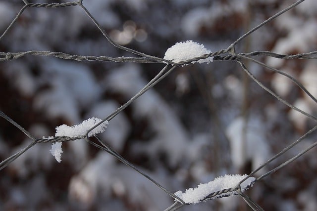 Free download wire fence snow frozen winter free picture to be edited with GIMP free online image editor