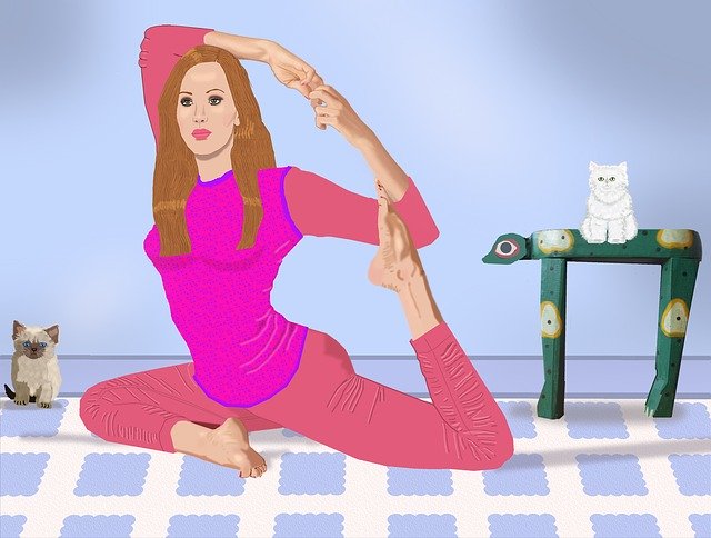 Free download Woman Exercising Himalayan Kitten -  free illustration to be edited with GIMP free online image editor