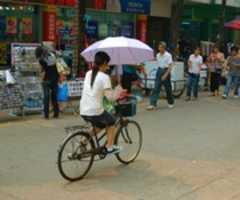 Free download Woman on a Bicycle free photo or picture to be edited with GIMP online image editor