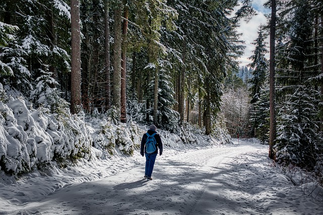 Free download woman path snow forest free picture to be edited with GIMP free online image editor