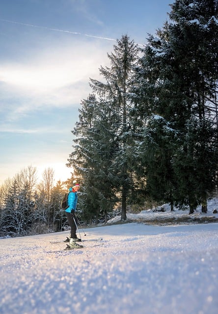 Free download woman skier skiing snow slope free picture to be edited with GIMP free online image editor