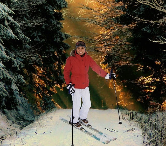 Free download woman skiing forest trees snow free picture to be edited with GIMP free online image editor