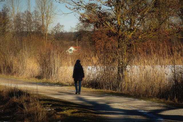 Free download Woman Walk Winter free photo template to be edited with GIMP online image editor