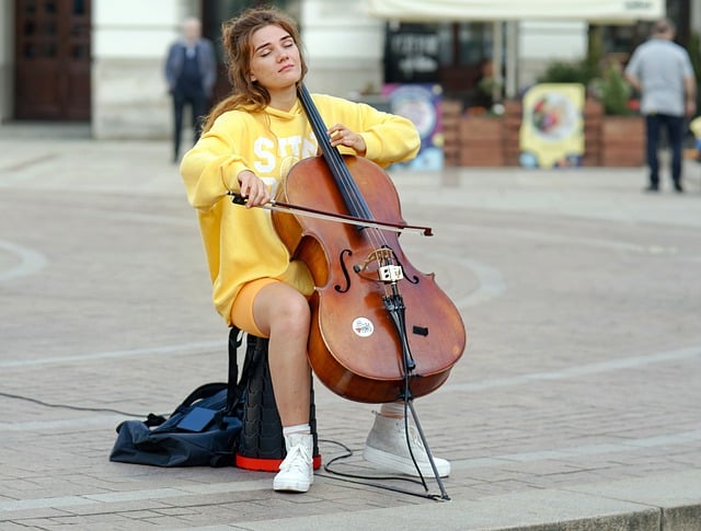 Free download woman young cello playing free picture to be edited with GIMP free online image editor