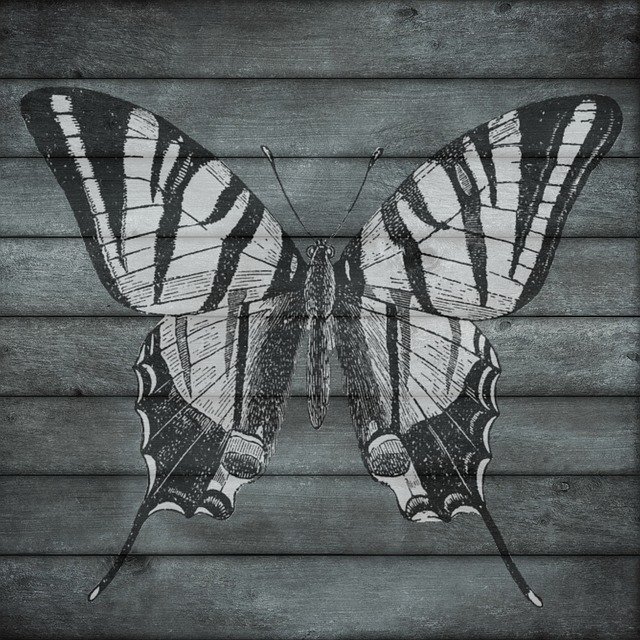 Free download Wood Butterfly Wooden -  free illustration to be edited with GIMP free online image editor