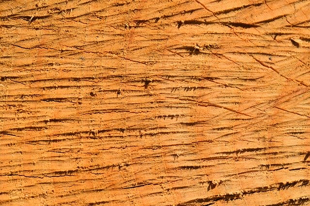 Free download Wood Cutting Tree Trunk -  free photo or picture to be edited with GIMP online image editor