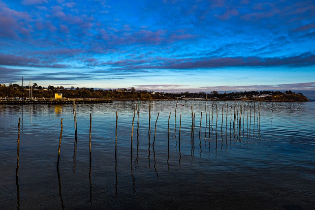 Free download wooden poles bay sunset reflection free picture to be edited with GIMP free online image editor