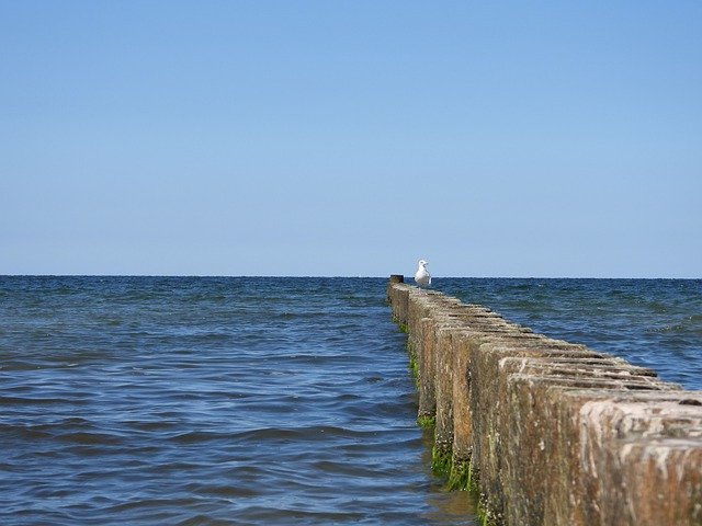 Free download Wooden Posts Lake Sea -  free photo or picture to be edited with GIMP online image editor