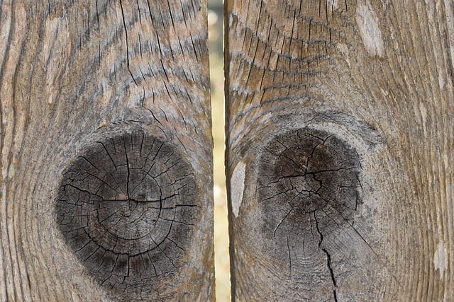 Free download wood fence texture wooden fence free picture to be edited with GIMP free online image editor