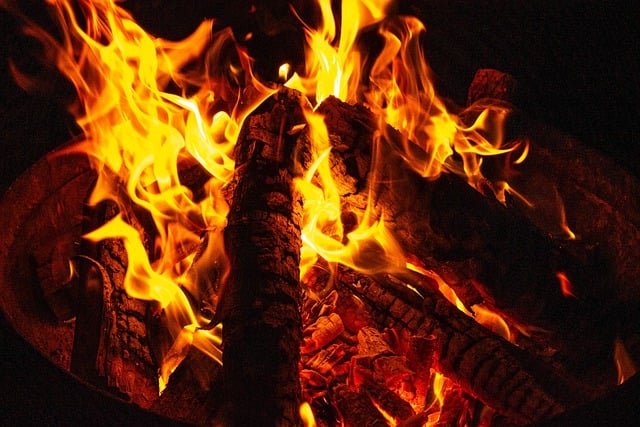 Free download wood fire logs bonfire flame free picture to be edited with GIMP free online image editor