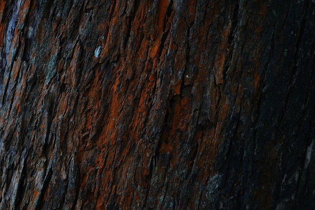 Free download Wood Grain - Material Timber -  free photo or picture to be edited with GIMP online image editor