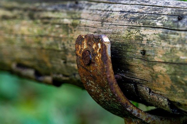 Free download Wood Macro Close -  free photo or picture to be edited with GIMP online image editor