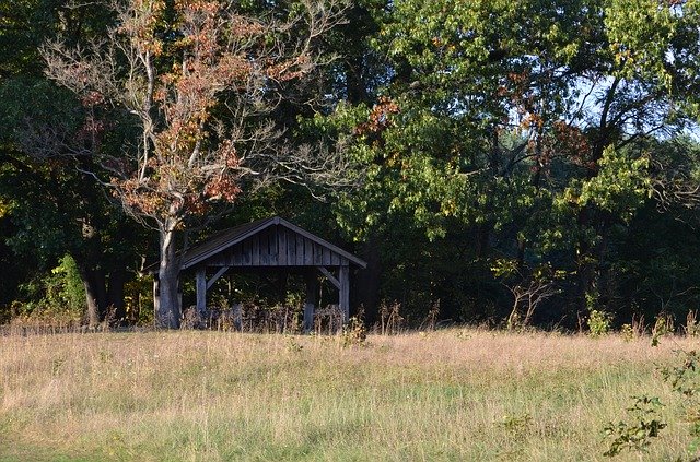 Free download Woods Rustic Shelter -  free photo or picture to be edited with GIMP online image editor