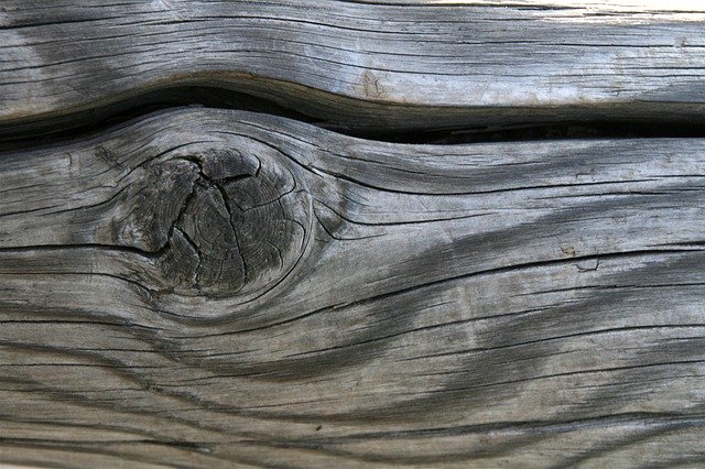 Free download Wood Structure Texture -  free photo or picture to be edited with GIMP online image editor