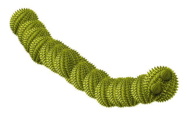 Free download Worm Earthworm Cute -  free illustration to be edited with GIMP free online image editor