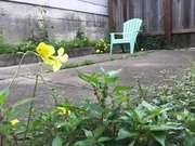 Free download [backyard, chair, wildflowers]  free photo or picture to be edited with GIMP online image editor