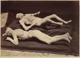 Free download [Plaster Casts of Bodies, Pompeii] free photo or picture to be edited with GIMP online image editor