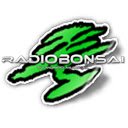 [:: Radiobonsai APP ::]  screen for extension Chrome web store in OffiDocs Chromium