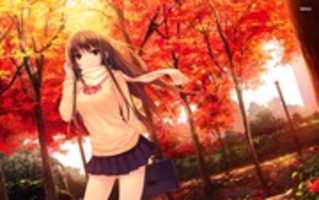 Free download 14665 Girl In The Autumn Park 1920x 1200 Anime Wallpaper free photo or picture to be edited with GIMP online image editor