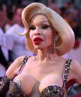 Gratis download 14. Amanda Lepore gratis foto of afbeelding om te bewerken met GIMP online afbeeldingseditor