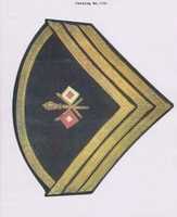 Free download 1872 - 1881 Chevrons, United States Army, free photo or picture to be edited with GIMP online image editor